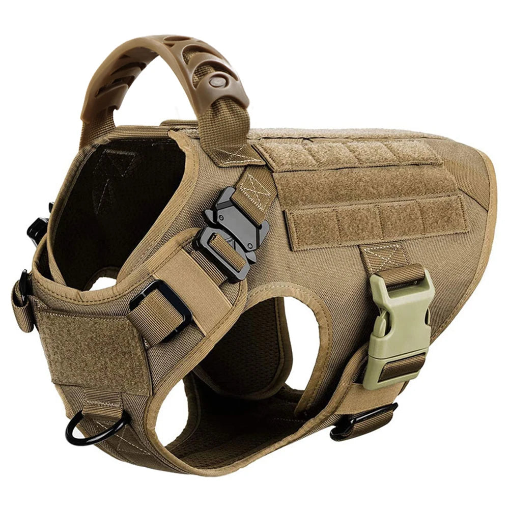 PETRAVEL Padded Dog Harness And Leash Set For Training Walks