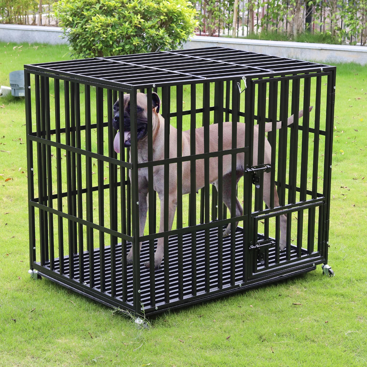 Bingopaw Heavy Duty Metal Dog Crate With Removable Tray